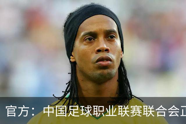 官方：中国足球职业联赛联合会正式成立